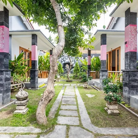 The Box House
