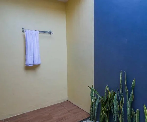 The Box House