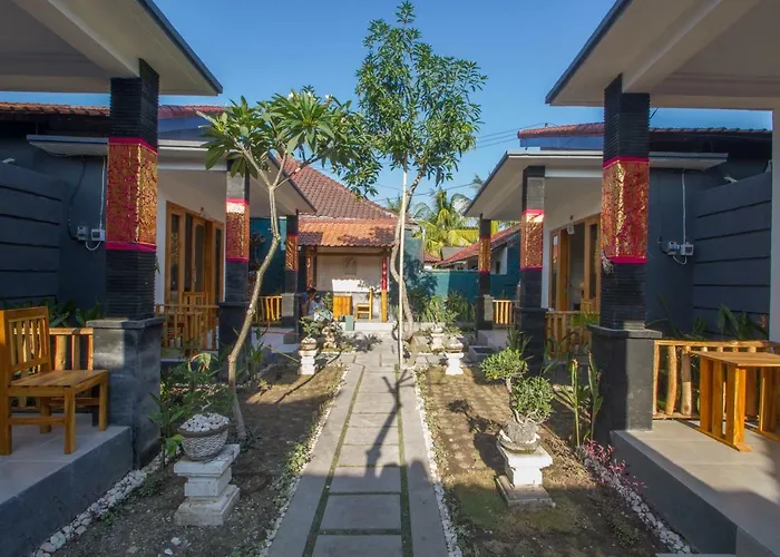 The Box House